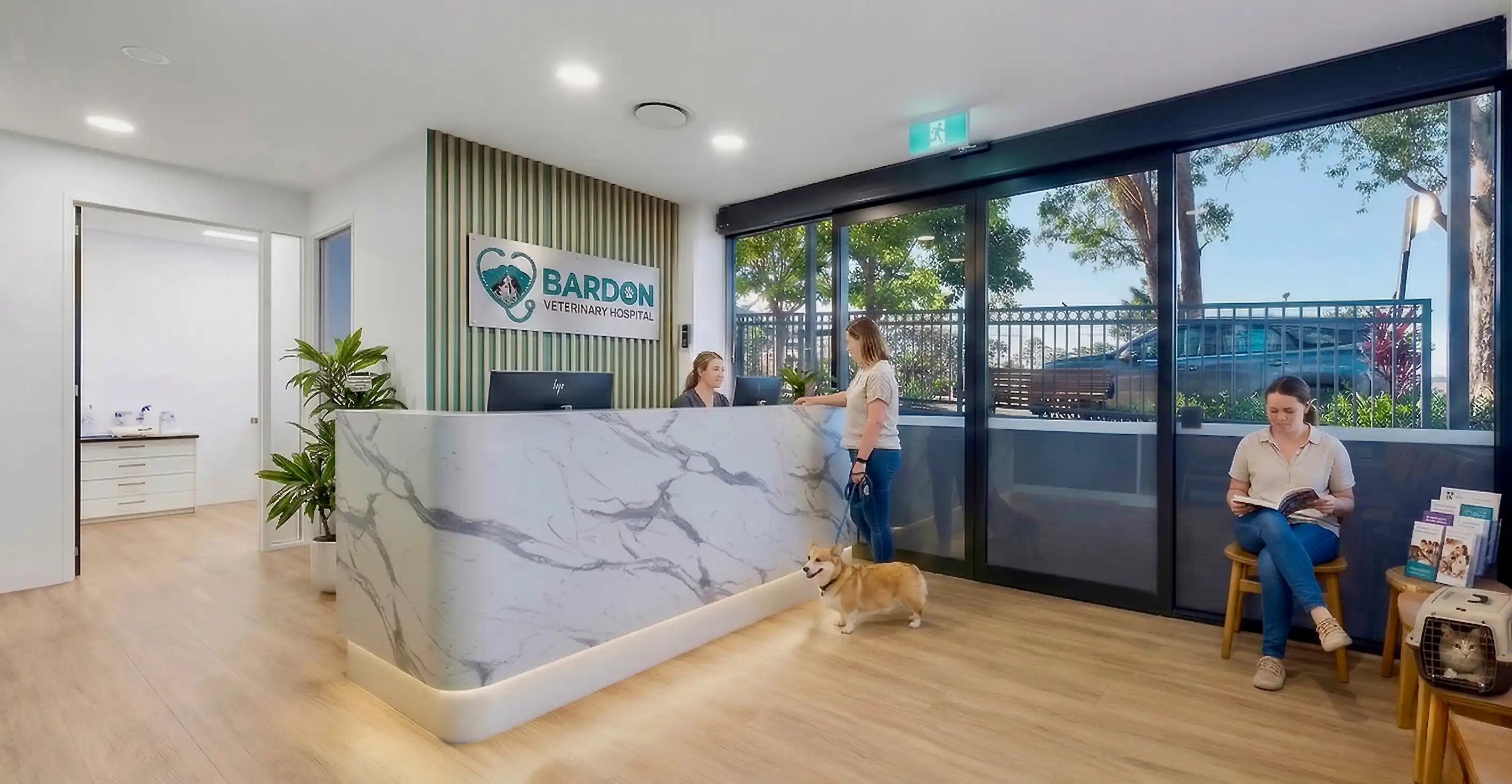 Bardon Veterinary Hospital Reception